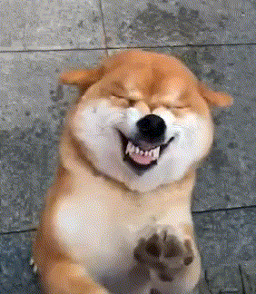 43_1.png