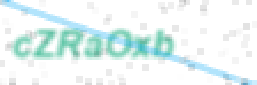 61_11.png
